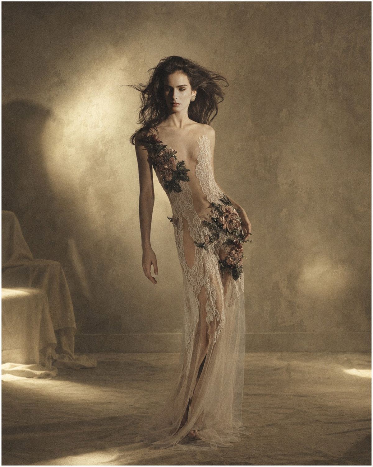 Embellished Sheer Lace Gown